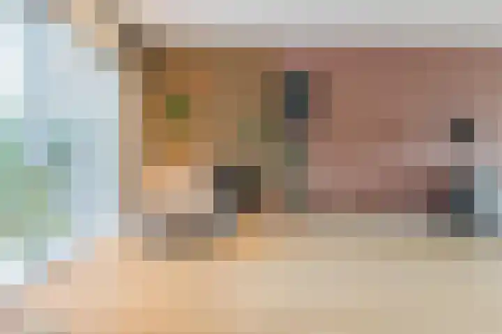 Hoep 63 A Schagen thumbnail 19