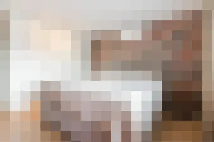 Hoep 63 A Schagen thumbnail 27