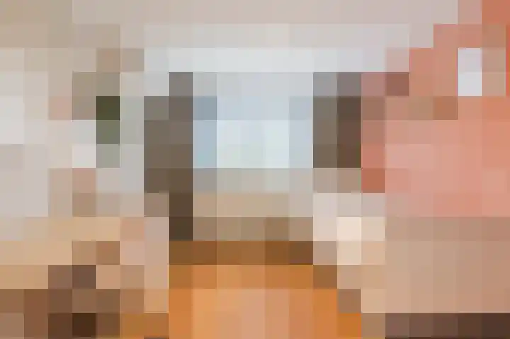 Hoep 63 A Schagen thumbnail 31
