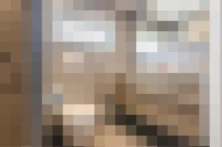 Hoep 63 A Schagen thumbnail 37