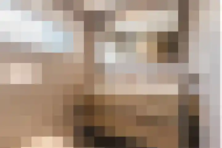 Hoep 63 A Schagen thumbnail 38
