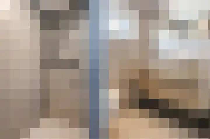 Hoep 63 A Schagen thumbnail 39