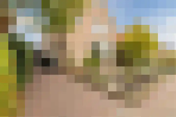 Hoep 63 A Schagen thumbnail 4