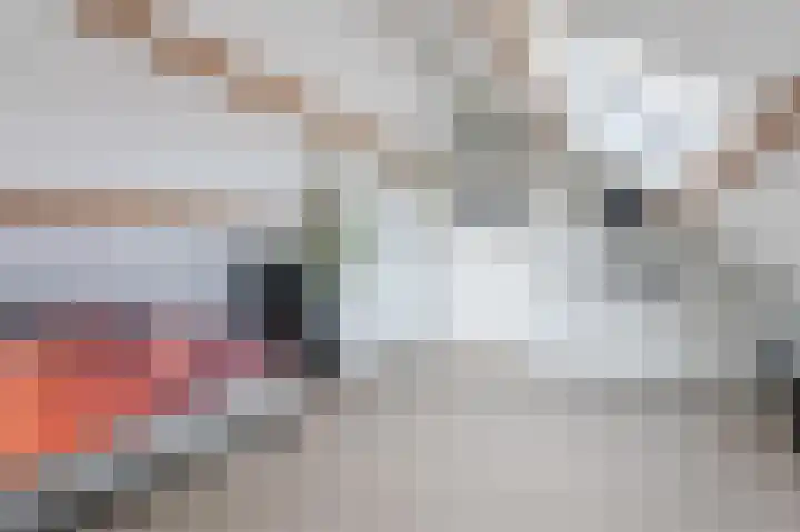 Hoep 63 A Schagen thumbnail 44