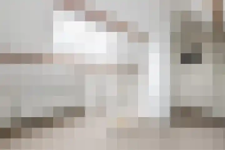 Hoep 63 A Schagen thumbnail 45