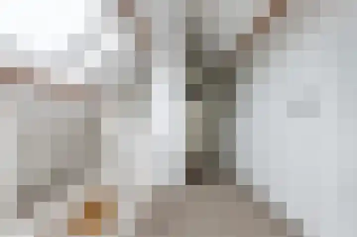 Hoep 63 A Schagen thumbnail 46