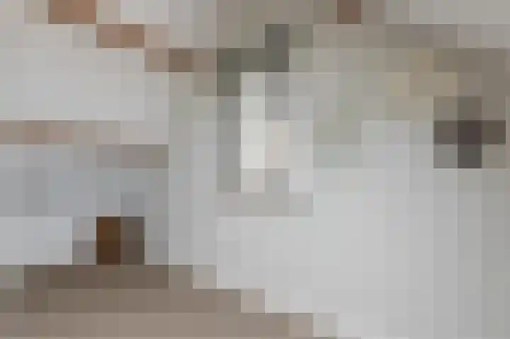Hoep 63 A Schagen thumbnail 47