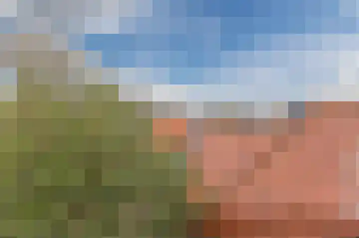 Hoep 63 A Schagen thumbnail 48