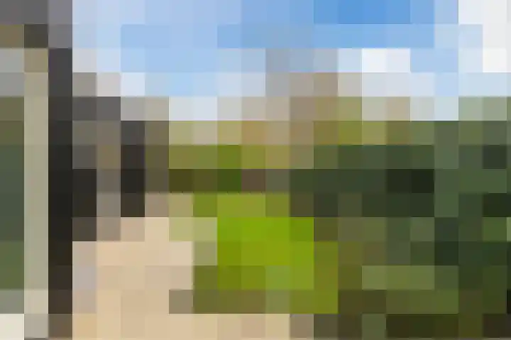 Hoep 63 A Schagen thumbnail 49