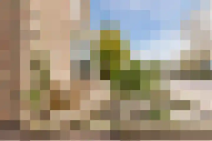Hoep 63 A Schagen thumbnail 5