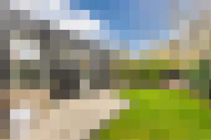 Hoep 63 A Schagen thumbnail 50