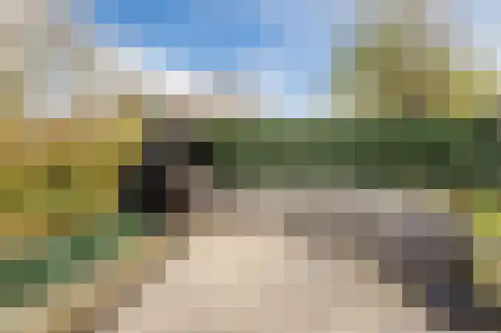 Hoep 63 A Schagen thumbnail 53