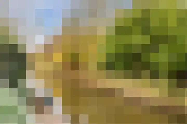Hoep 63 A Schagen thumbnail 59