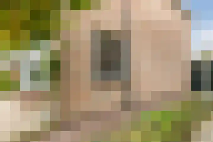 Hoep 63 A Schagen thumbnail 6