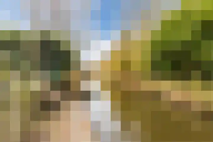 Hoep 63 A Schagen thumbnail 60