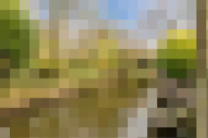 Hoep 63 A Schagen thumbnail 61