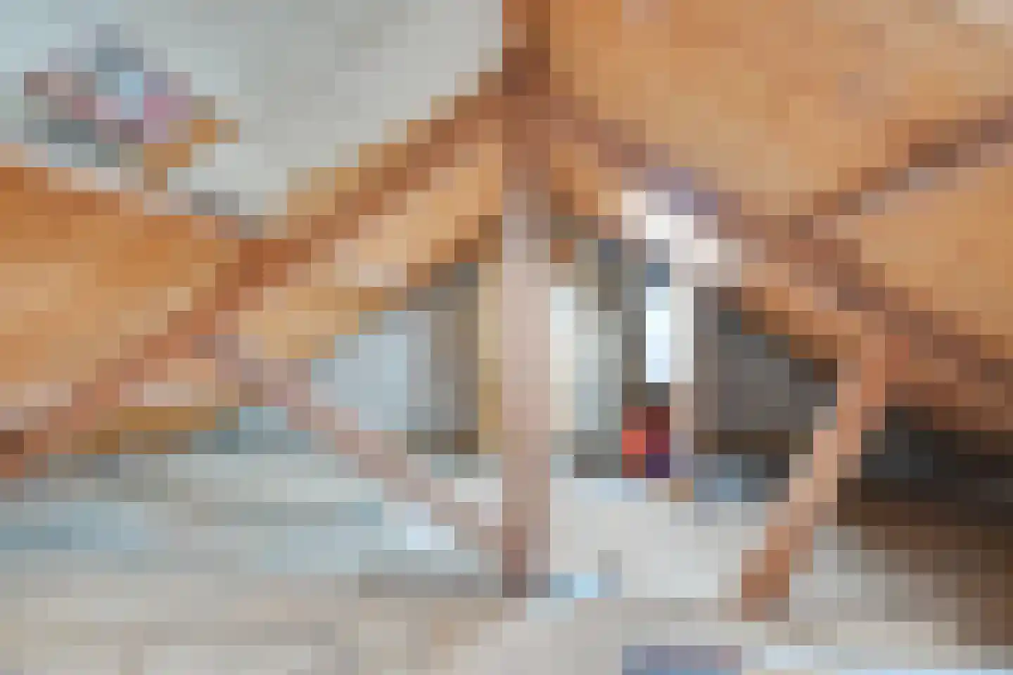 Hoep 7 Schagen thumbnail 30