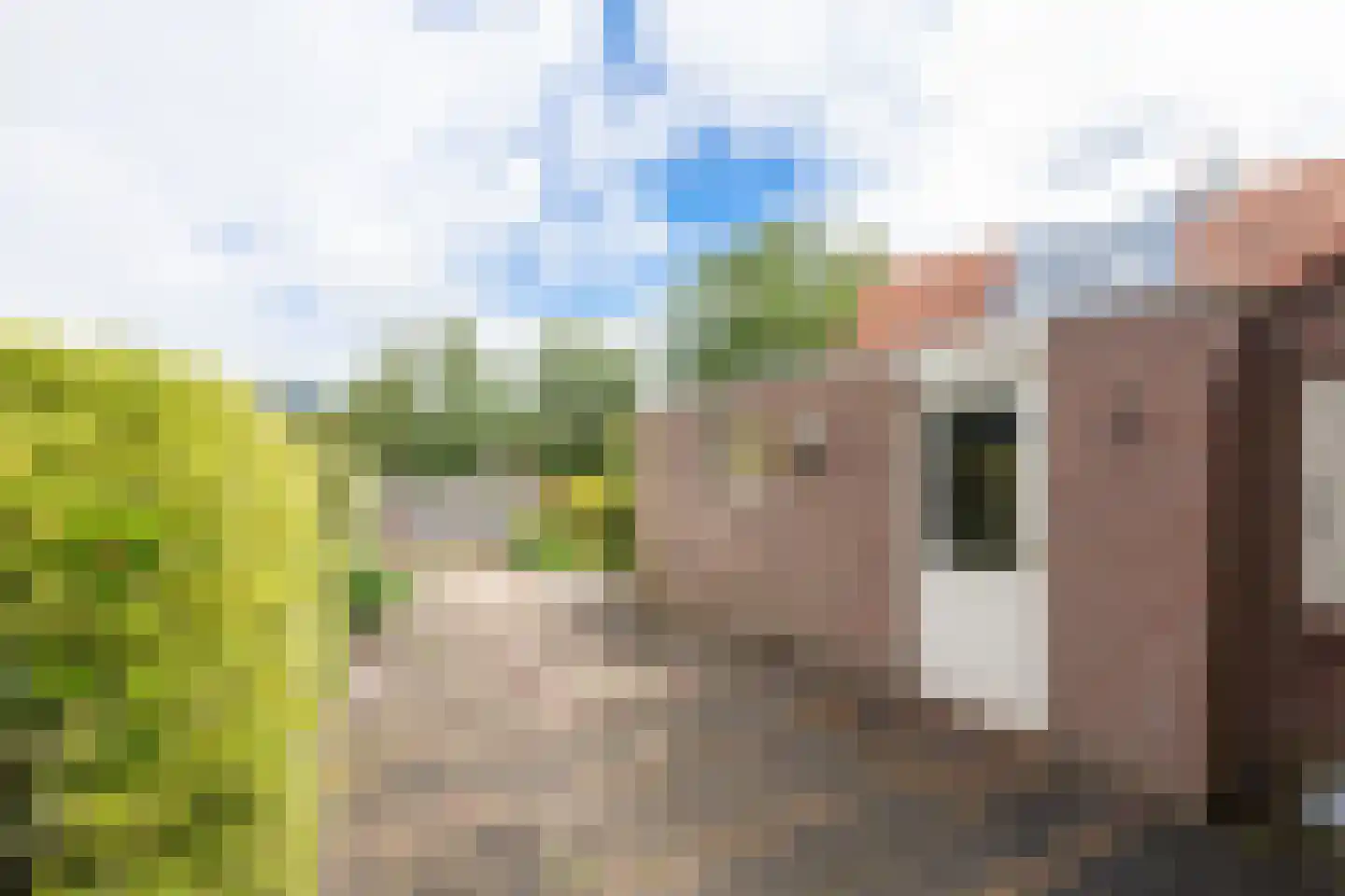 Hoep 7 Schagen thumbnail 32