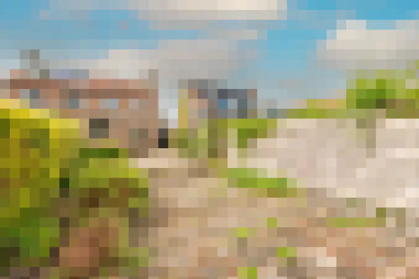 Hoep 7 Schagen thumbnail 35