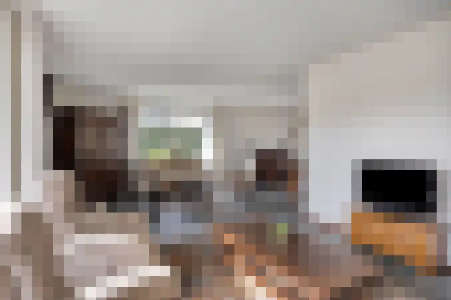 Hoepel 3 Best thumbnail 13