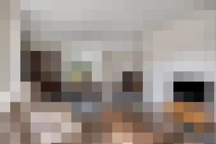 Hoepel 3 Best thumbnail 13