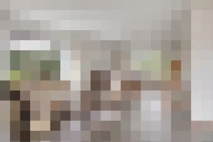 Hoepel 3 Best thumbnail 15