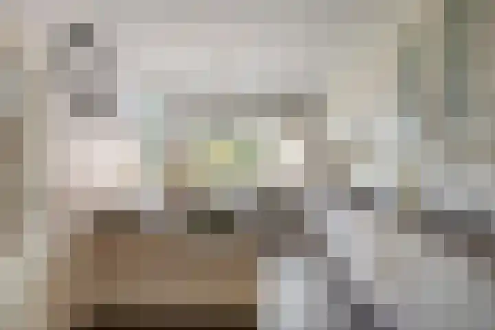 Hoepel 3 Best thumbnail 18