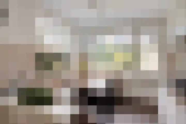 Hoepel 3 Best thumbnail 19