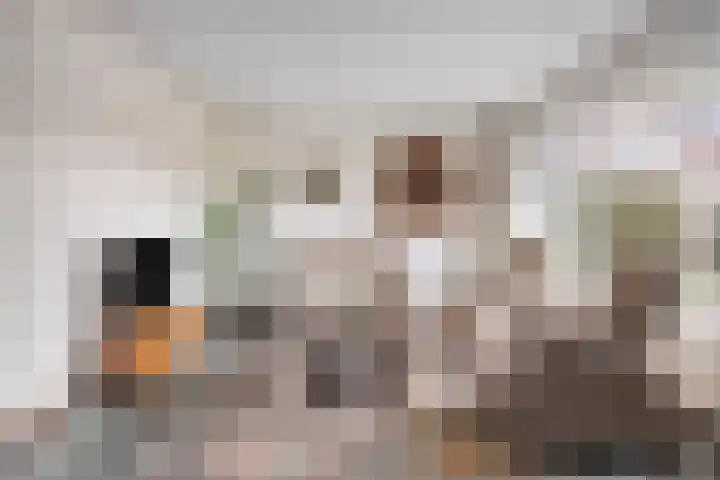 Hoepel 3 Best foto 2