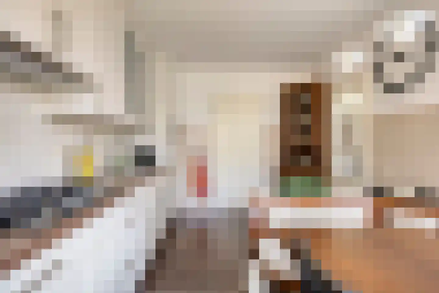 Hoepel 3 Best thumbnail 21