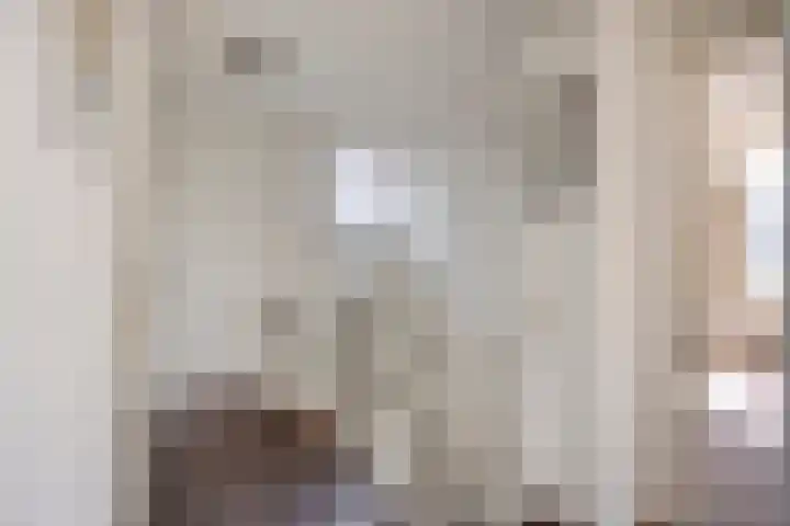 Hoepel 3 Best thumbnail 22