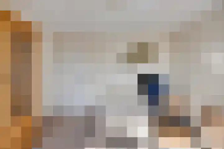 Hoepel 3 Best thumbnail 26