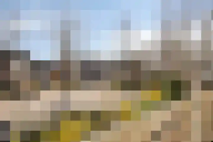 Hoepel 3 Best thumbnail 28