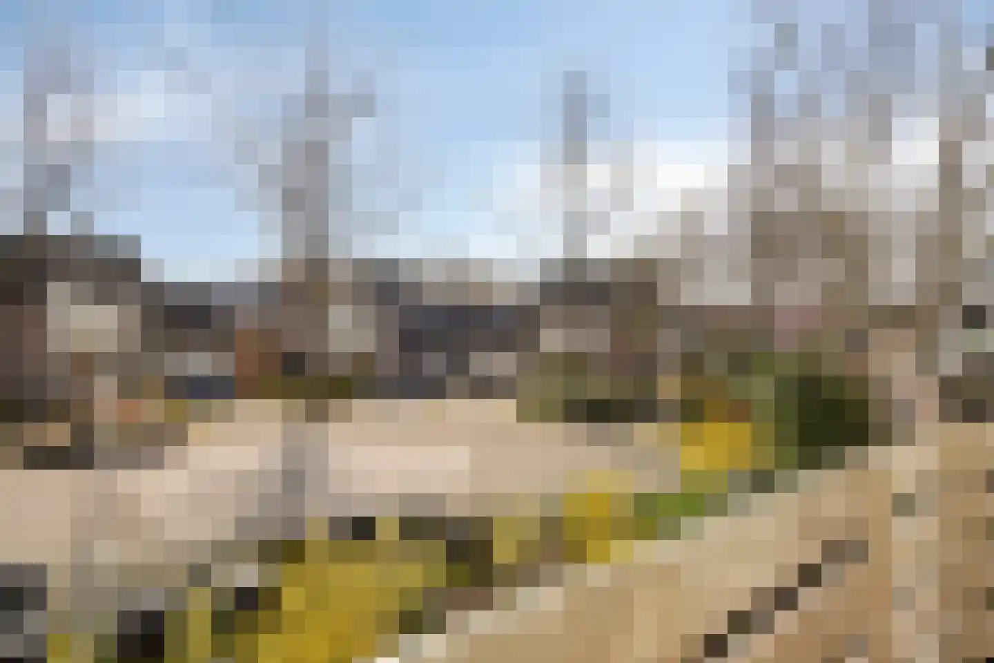 Hoepel 3 Best thumbnail 28