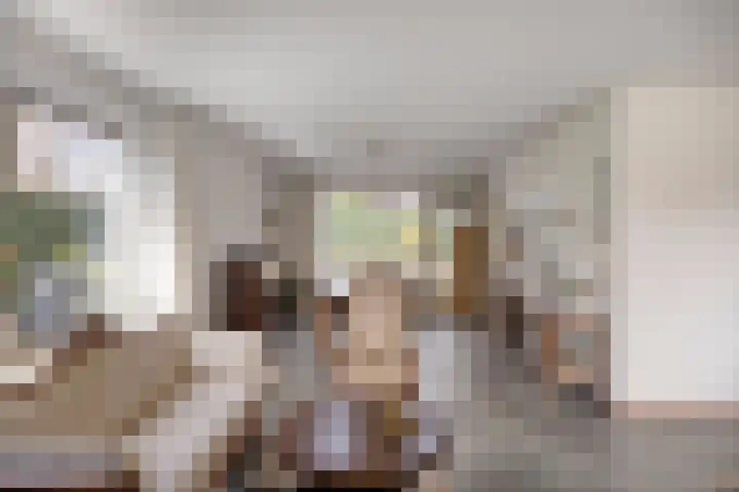 Hoepel 3 Best foto 3