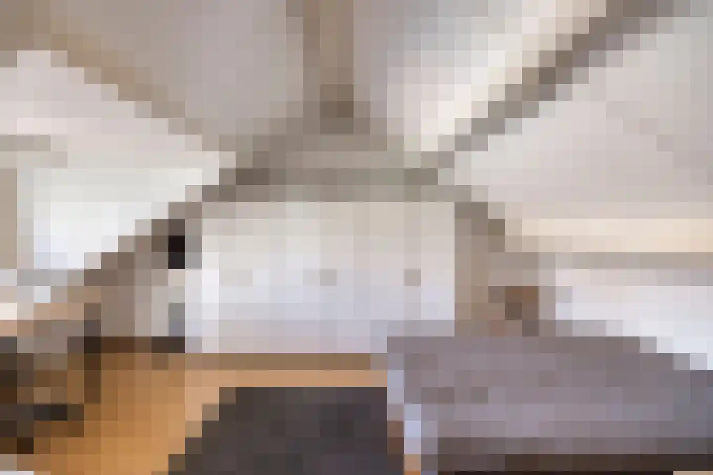 Hoepel 3 Best thumbnail 31