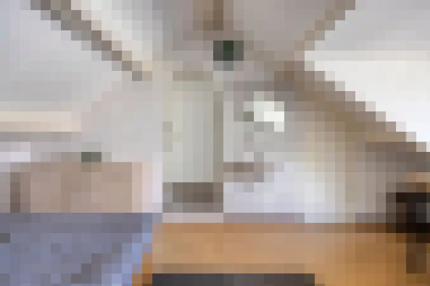 Hoepel 3 Best thumbnail 33