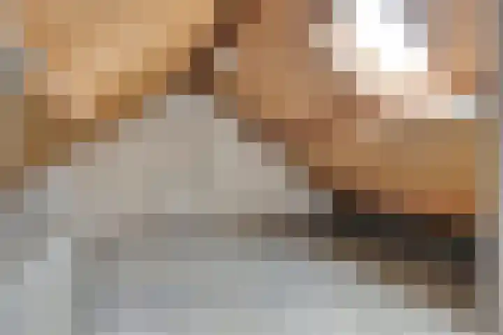 Hoepel 3 Best thumbnail 37