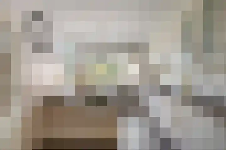Hoepel 3 Best thumbnail 4