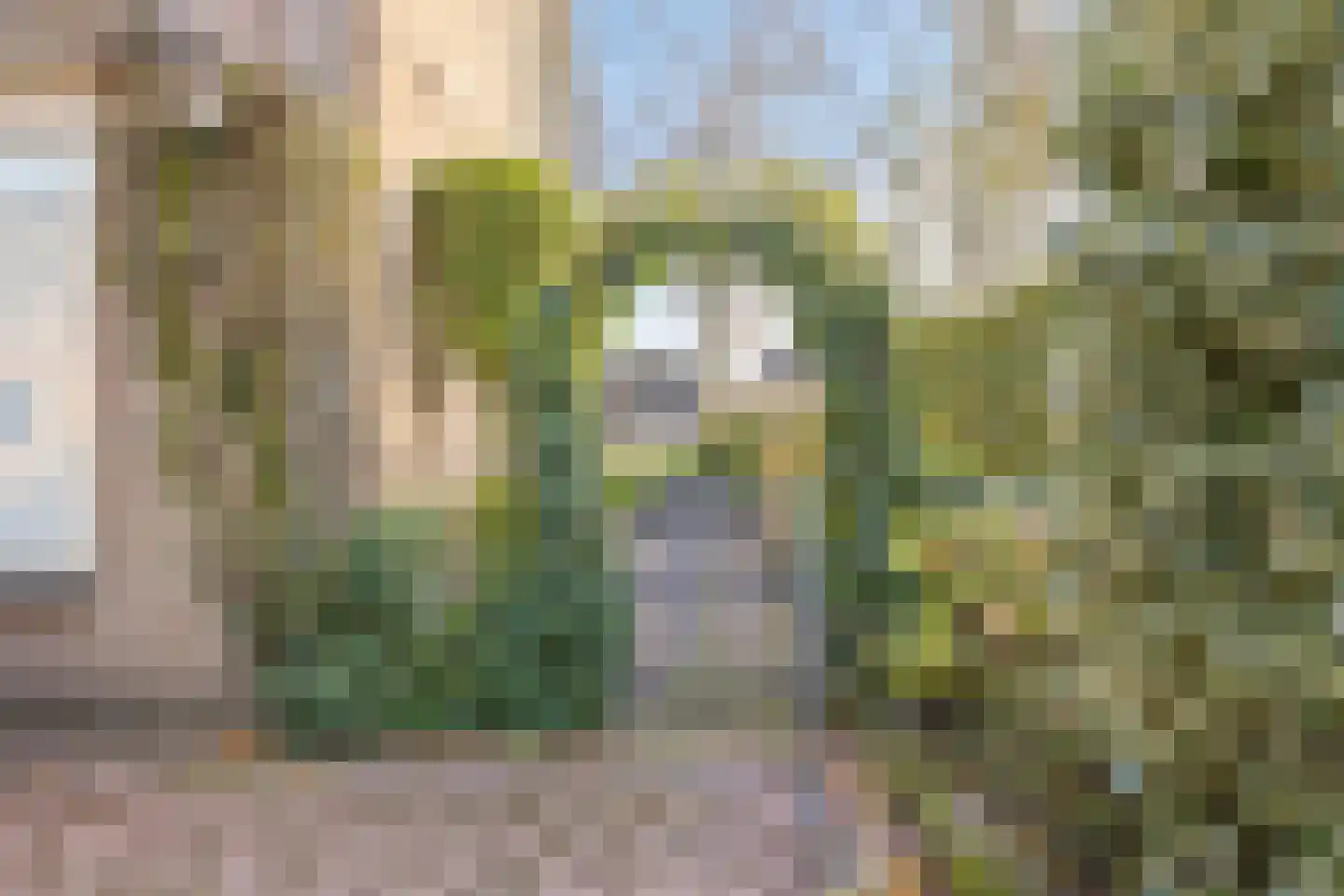Hoepel 3 Best thumbnail 40