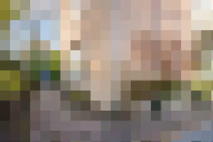 Hoepel 3 Best thumbnail 41