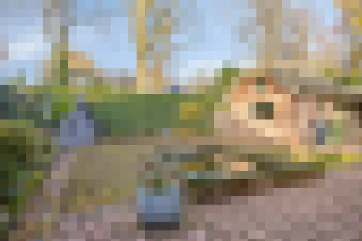 Hoepel 3 Best thumbnail 43