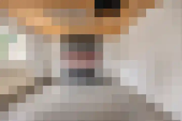 Hoepel 3 Best thumbnail 47