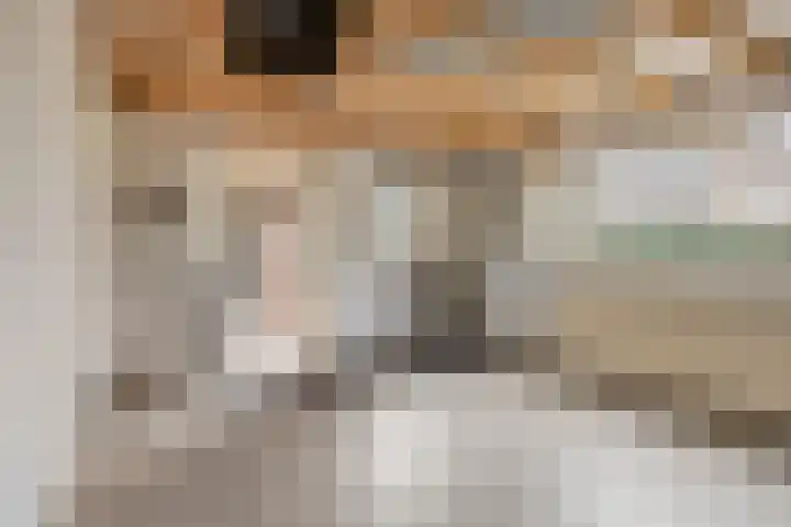Hoepel 3 Best thumbnail 48
