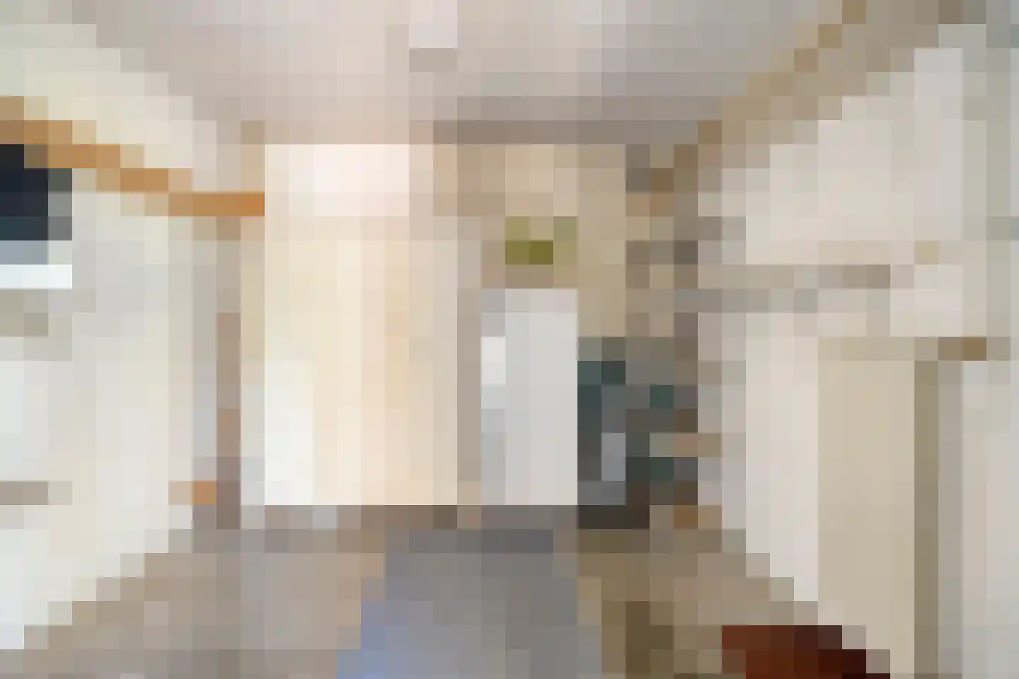 Hoepel 3 Best thumbnail 50