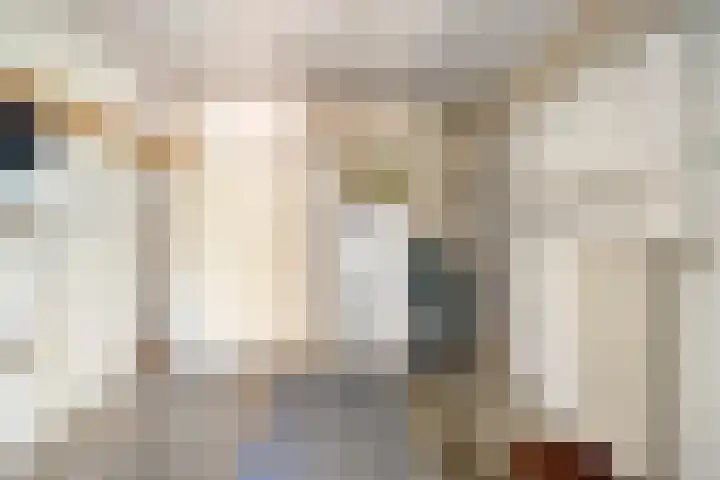 Hoepel 3 Best thumbnail 50