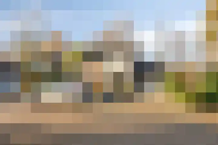 Hoepel 3 Best thumbnail 7
