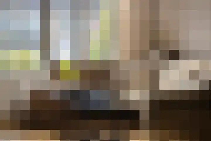 Hoepelakkerstraat 8 Someren thumbnail 10