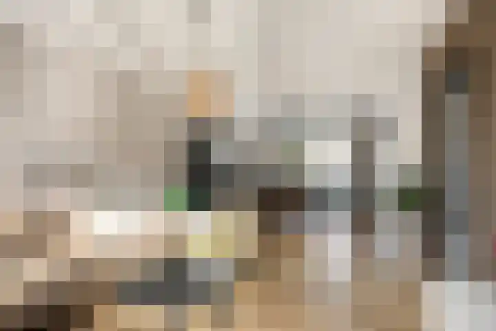 Hoepelakkerstraat 8 Someren thumbnail 11