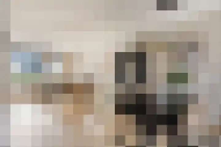 Hoepelakkerstraat 8 Someren thumbnail 14